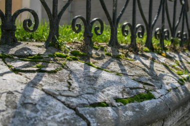 2009.08.29, Vladimir, Rusya Federasyonu. Kilise eski çitin üzerine yosun.