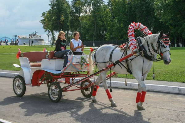 2009 俄罗斯的弗拉基米尔 马车在公园里 中心城镇公园的娱乐设施 城市里的动物 — 图库照片