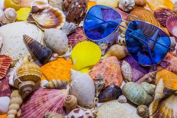 Blue Sunglasses Background Colorful Seashells Concept Preparing Vocational Rest Concept — Stock Photo, Image