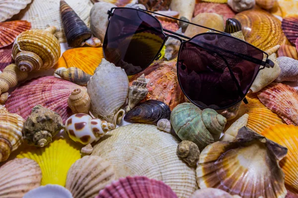 Black Sunglasses Background Colorful Seashells Concept Preparing Vocational Rest Concept — Stock Photo, Image