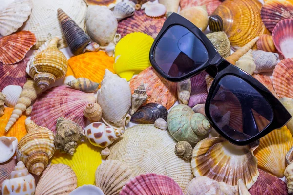 Black Sunglasses Background Colorful Seashells Concept Preparing Vocational Rest Concept — Stock Photo, Image