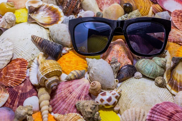 Black Sunglasses Background Colorful Seashells Concept Preparing Vocational Rest Concept — Stock Photo, Image