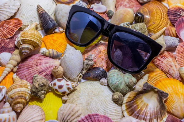 Black Sunglasses Background Colorful Seashells Concept Preparing Vocational Rest Concept — Stock Photo, Image