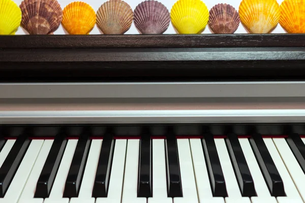 Composizione Conchiglie Colorate Sulla Tastiera Del Pianoforte Concetto Musica Oceano — Foto Stock