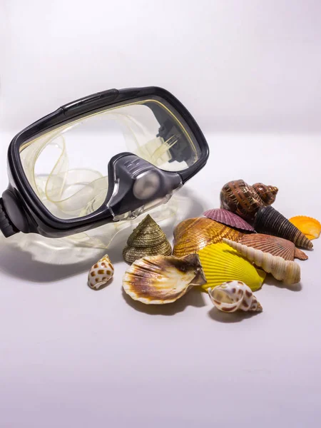 Swimming Mask Colorful Seashells Concept Preparing Vocational Rest Concept Summer — Stock Photo, Image