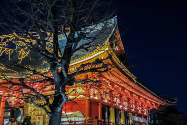 2013.01.01, Tokyo, Rusya Federasyonu. Bu gece cityscape Tokyo. Bu gece Tokyo mimarisi. Japonya seyahat. Tokyo otantik mimarisi.