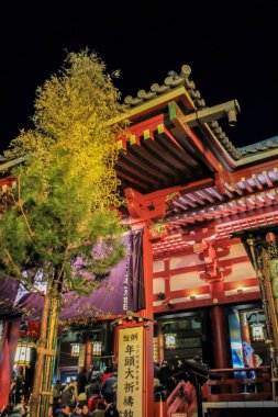 2013.01.01, Tokyo, Rusya Federasyonu. Bu gece cityscape Tokyo. Bu gece Tokyo mimarisi. Japonya seyahat. Tokyo otantik mimarisi.