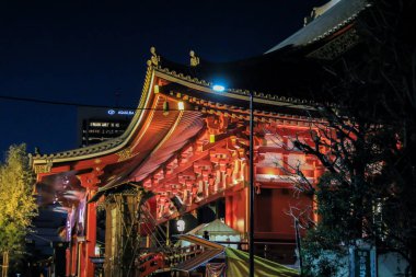 2013.01.01, Tokyo, Rusya Federasyonu. Bu gece cityscape Tokyo. Bu gece Tokyo mimarisi. Japonya seyahat. Tokyo otantik mimarisi.