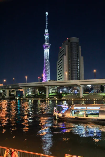 2013 Tokyo Russland Tårnets Lys Tokyo Kveld Reise Rundt Japan – stockfoto