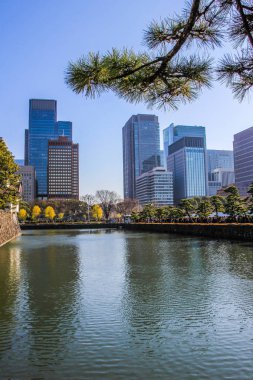 2013.01.02, Tokyo, Japonya. arka planını gökdelenler ve avenue of Tokyo pines gölde. İmparator Sarayı satırından uzun kalabalık. 