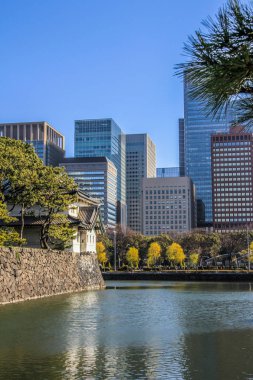 2013.01.02, Tokyo, Japonya. Otantik Japonya İmparatoru palace tarafından bölgesinde Bina. 