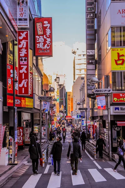 2013 Tokio Japón Gente Local Tokio Durante Las Vacaciones Paisaje — Foto de Stock