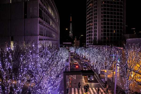 2013 Tokyo Japan Belysning Stadsbilden Tokyo Ikväll — Stockfoto