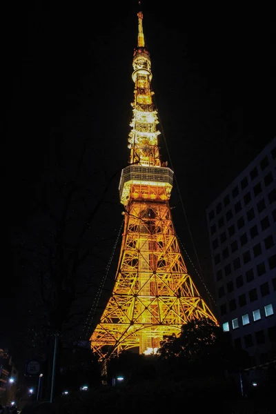 Vista Hacia Abajo Torre Tokio Con Iluminación Sobre Fondo Cielo —  Fotos de Stock