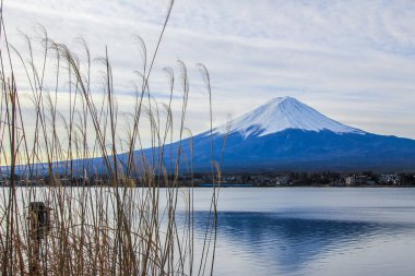Fuji Dağı'nın, köy ve göl ile kış manzara. Japonya doğası. Dünyanın ünlü ve en güzel yerlerine. Fuji yansıma göle.