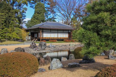 2013.01.04, Kyoto, Japonya. Ninomaru Bahçe gölet kış sezonu. Kyoto antik yerler. Japonya'nın tarihi yerler.