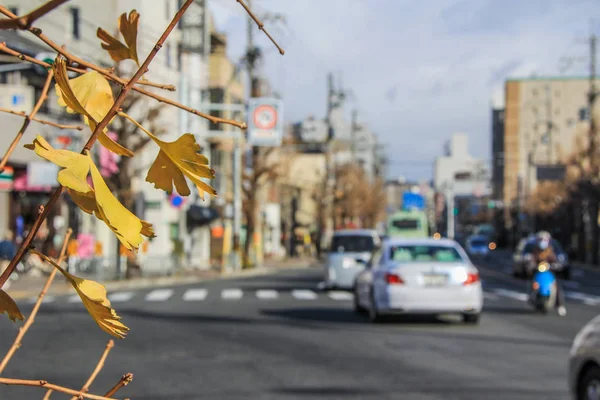 2013 京都の道路と交通の街並み 車での京都を旅します — ストック写真