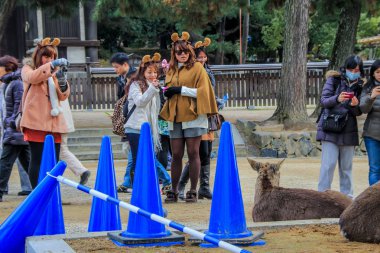 2013.01.05, Nara, Japonya. Festival komik aksesuarları parkta yürürken kafasına Japon kızlar grup.