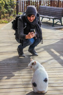 Avrupa turizm beyaz kedi Enoshima içinde çekim.
