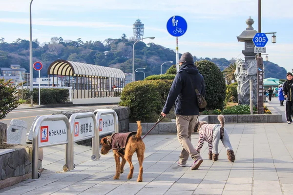 Puente largo a la isla de Enoshima y turista con perro en él . — Foto de Stock