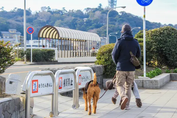 Puente largo a la isla de Enoshima y turista con perro en él . — Foto de Stock