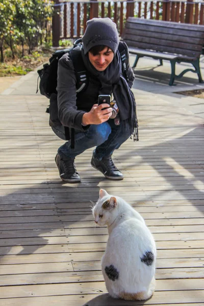 European tourist shooting white cat in Enoshima. — Stock Photo, Image