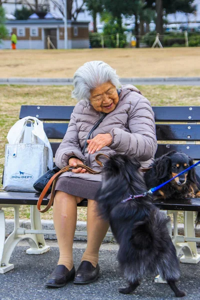 2013 Yokohama Japan Old Japanese Woman Sitting Bench Park Playing — Stock Photo, Image