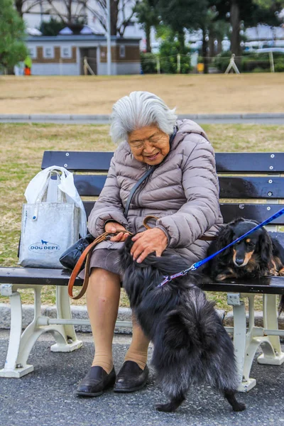 2013 Yokohama Japón Una Vieja Japonesa Sentada Banco Del Parque —  Fotos de Stock