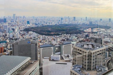 2013.01.07, Tokyo, Japonya. Tokyo şehrinin panoramik manzarası ve gün batımında Merkezi Park. Japonya 'nın modern mimarisi. Asya etrafında seyahat.