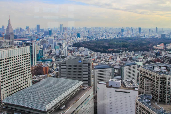 2013 Токио Япония Великолепный Вид Токио Центральный Парк Закате Современная — стоковое фото