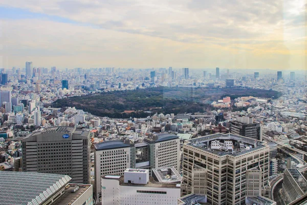 2013 Токіо Японія Панорамний Вид Місто Токіо Центральний Парк Заході — стокове фото
