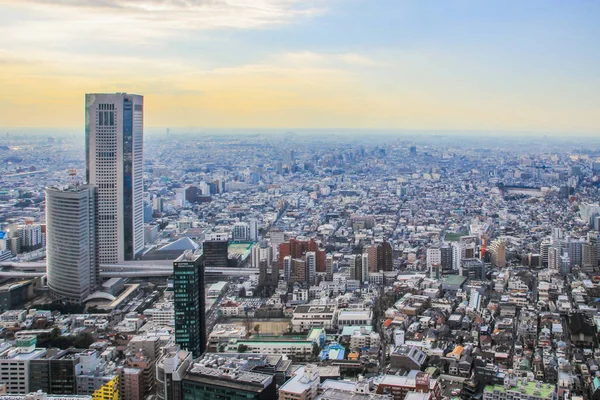 2013 Tokyo Japan Panoramic View Tokyo City Sunset Modern Architecture — Stock Photo, Image