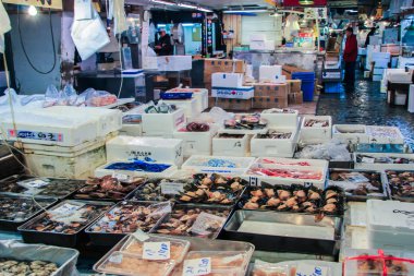 2013.01.08, Tokyo, Japonya. Piyasada taze deniz ürünleri. Sabah erken saatlerde balık pazarı etrafında yürüyüş. 