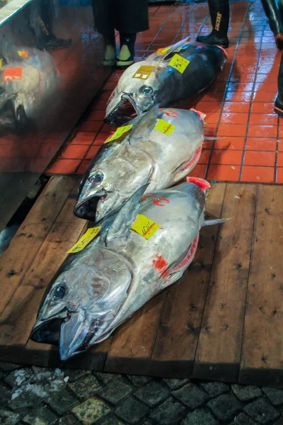 2013 Tokio Japón Pescado Fresco Mercado Paseando Por Mercado Pescado — Foto de Stock