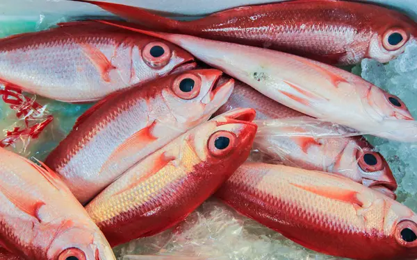 2013 Tokio Japón Pescado Fresco Hielo Paseando Por Mercado Pescado — Foto de Stock