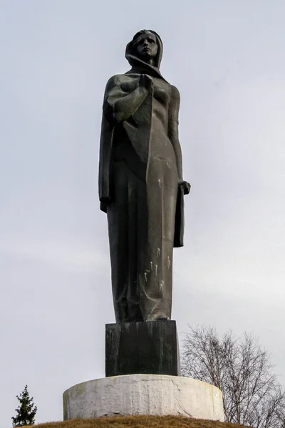 2010 Maloyaroslavets Russie Monument Mère Sur Colline — Photo