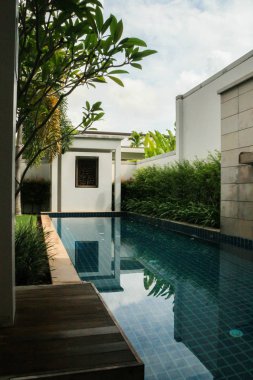 2011.05.05, Phuket, Tayland. Villa bahçesinde palmiye ağaçlarıyla çevrili yüzme havuzu.