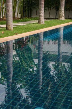 2011.05.05, Phuket, Tayland. Villa bahçesinde palmiye ağaçlarıyla çevrili yüzme havuzu.