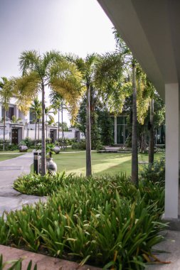 2011.05.06, Phuket, Tayland. Palmiye ağaçları ve sütunlar ile iç avlu, bulanıklık etkisi.