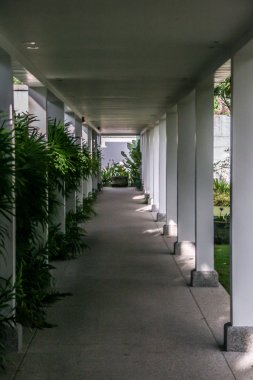 2011.05.06, Phuket, Tayland. Palmiye ağaçları ve sütunlar ile iç avlu, bulanıklık etkisi.