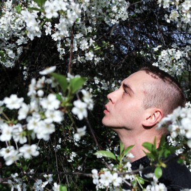 Güneşli bahar gününde çiçeklenme kiraz ağacı ayakta genç bir adam portresi. 