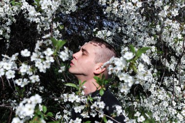 Güneşli bahar gününde çiçeklenme kiraz ağacı ayakta genç bir adam portresi. 