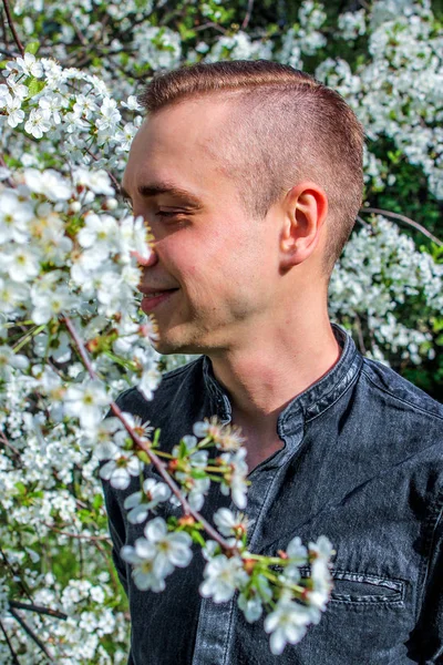 Portrait Young Man Standing Blooming Cherry Tree Sunny Spring Day — Stock Photo, Image