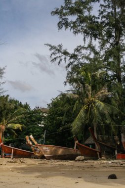 2011.05.07, Phuket, Tayland. Asya'yı dolaşın. Palmiye ağaçları ile kum üzerinde Tekne.