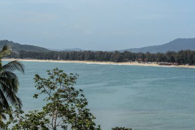 2011.05.07, Phuket, Tayland. Asya'yı dolaşın. Phuket Adası'nda palmiye ağaçları ve ufuk çizgisi ile Seascape.