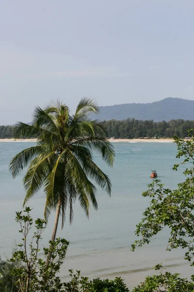 2011 プーケット アジアを旅する プーケット島のヤシの木と地平線を持つ海景 — ストック写真