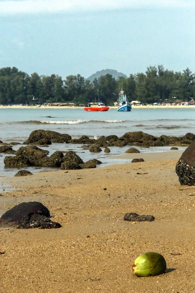 2011 普吉岛 环游亚洲 海岸上的海景和椰子 — 图库照片