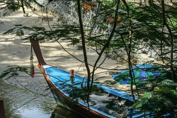 2011 普吉岛 环游亚洲 棕榈树在沙上划船 — 图库照片