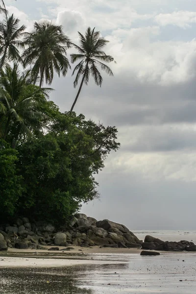2011.05.07, Phuket, Tayland. Asya'yı dolaşın. Phuket Adası'nda palmiye ağaçları ve ufuk çizgisi ile Seascape.