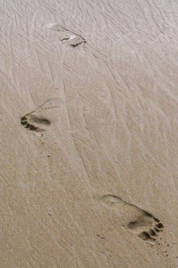 2011.05.08, Phuket, Tayland. Kumda ayak izleri var. Asya'da seyahat. 